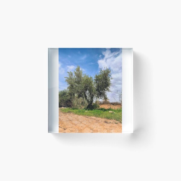 Item preview, Lush Olive Tree Rural Landscape designed and sold by sarajolmakip.