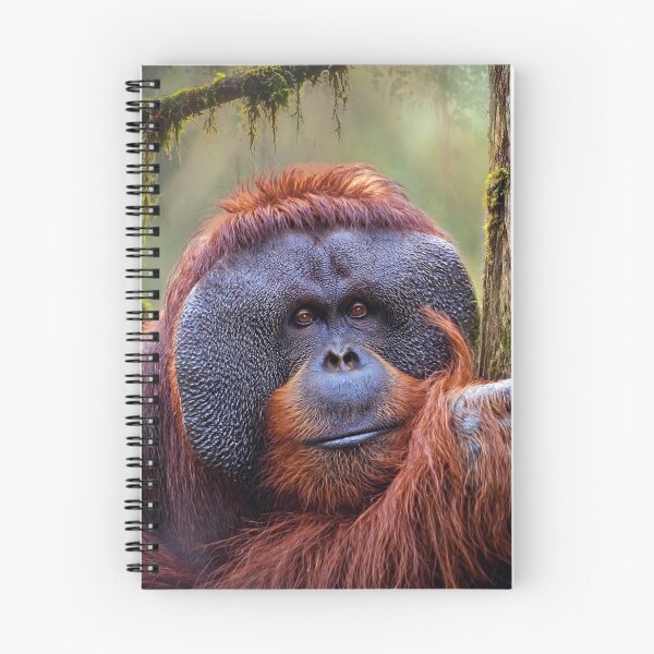 Item preview, Majestic Orangutan in Rainforest designed and sold by Savannah Gibbs.