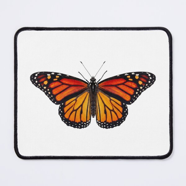 Item preview, Butterfly Series | 蝶蝶 Cho Cho 2 designed and sold by Yoshi - Design - Osaka.