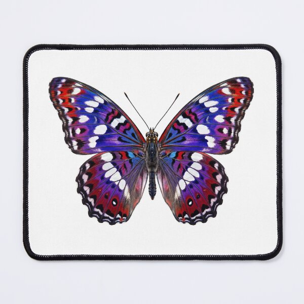 Item preview, Butterfly Series | 蝶蝶 Cho Cho 4 designed and sold by Yoshi - Design - Osaka.
