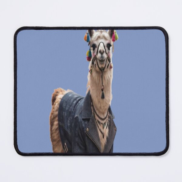 Item preview, Stylish Llama Wearing Denim Jacket and Colorful Tassels designed and sold by AfresStudio.