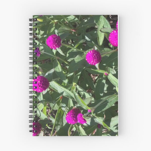 Item preview, Globe Amaranth  designed and sold by Amanda1775.
