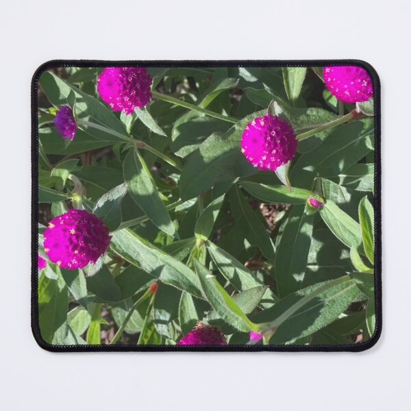 Item preview, Globe Amaranth  designed and sold by Amanda1775.