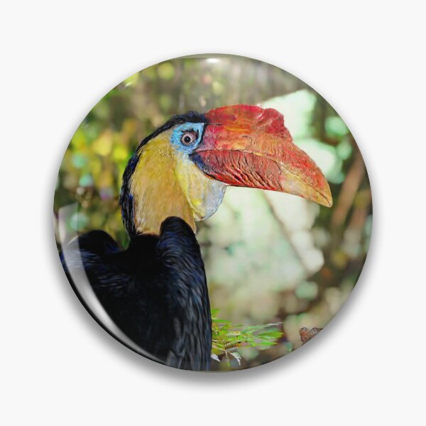 Item preview, Hornbill in Vibrant  Rainforest  designed and sold by Savannah Gibbs.