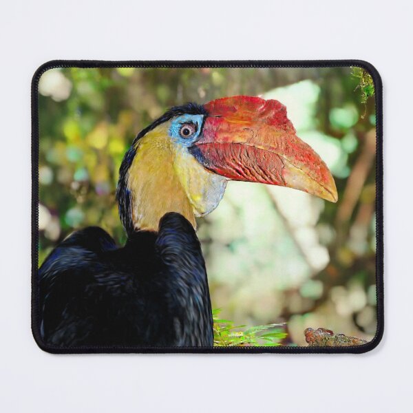 Item preview, Hornbill in Vibrant  Rainforest  designed and sold by Savannah Gibbs.