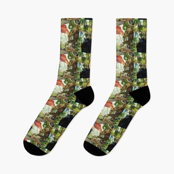 Item preview, Hornbill in Vibrant  Rainforest  designed and sold by Savannah Gibbs.