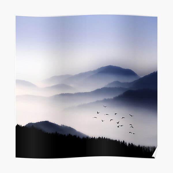 Voler au-dessus du brouillard Poster