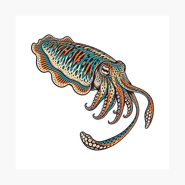 Item preview, Cuttlefish Chromatic Signal Study designed and sold by aihrgdesign.
