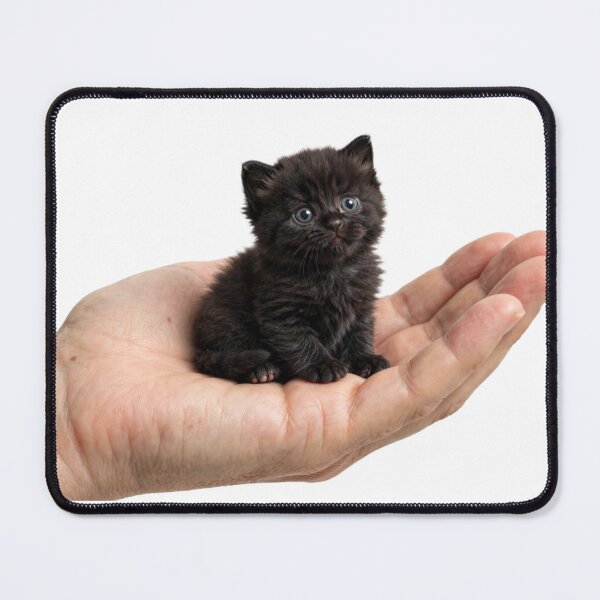 Item preview, Tiny Black Kitten Sitting In My Hand - Cute Playing Moment designed and sold by ThePrintArt.