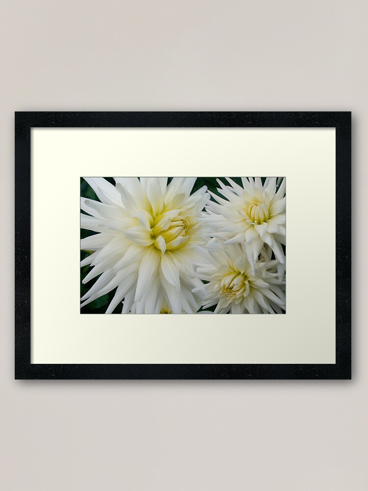 Alternate view of The Flowers That Be - II Framed Art Print