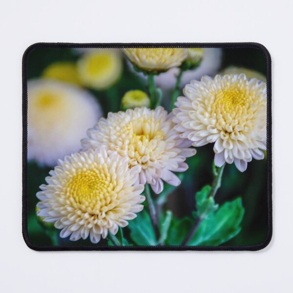 Item preview, Yellow Chrysanthemum designed and sold by D-GaP.