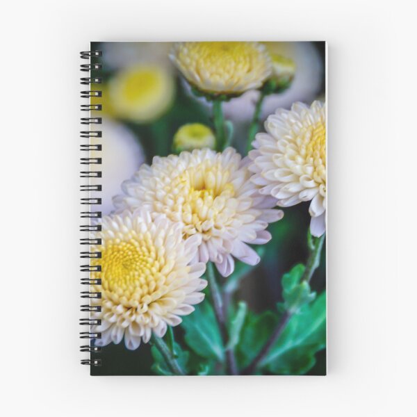 Item preview, Yellow Chrysanthemum designed and sold by D-GaP.