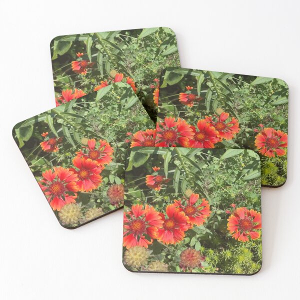 Item preview, Blanket Flowers  designed and sold by Amanda1775.