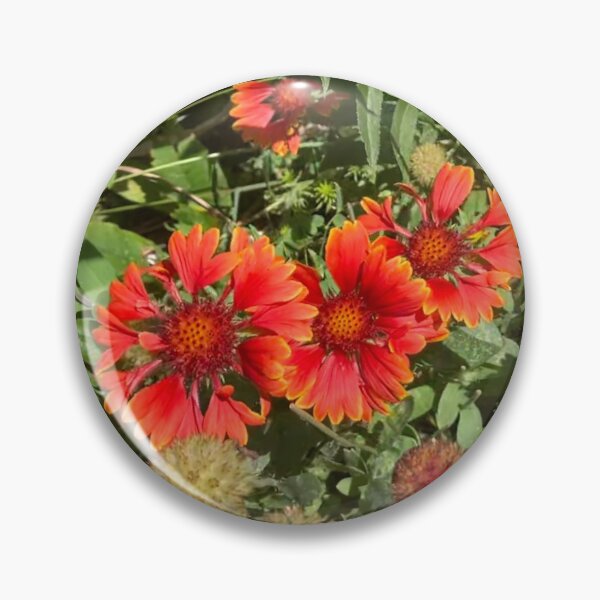 Item preview, Blanket Flowers  designed and sold by Amanda1775.