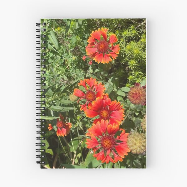 Item preview, Blanket Flowers  designed and sold by Amanda1775.