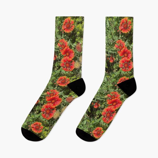 Item preview, Blanket Flowers  designed and sold by Amanda1775.