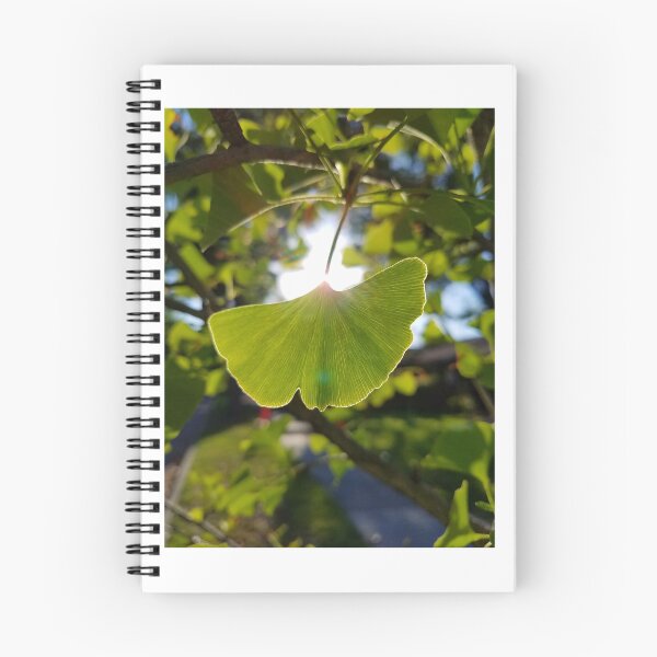 Item preview, Light through the Gingko Tree designed and sold by Kelley Shannon.