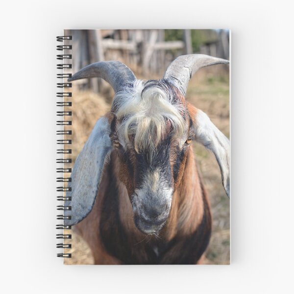 Item preview, Goat Grazing in Rustic Farmyard designed and sold by Savannah Gibbs.