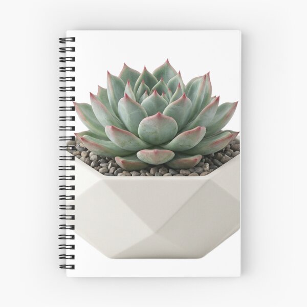 Item preview, 3D Minimalist Geometric Succulent Plant designed and sold by meghnad.