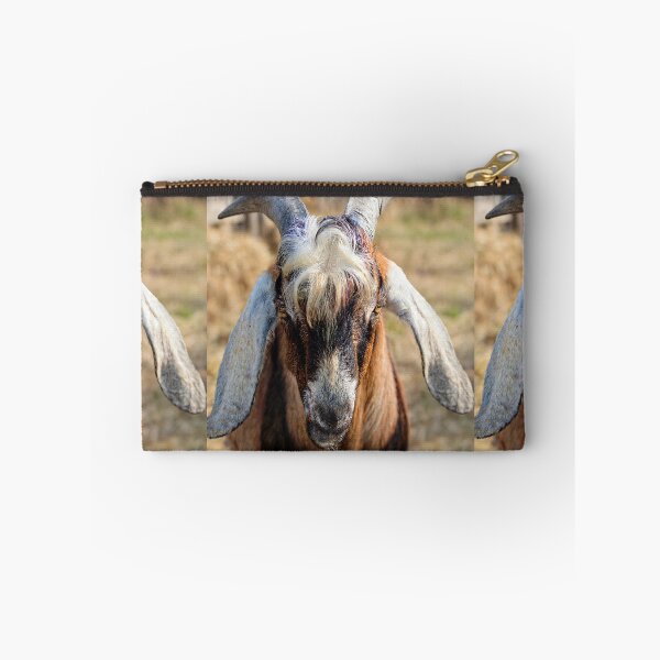 Item preview, Closeup of a Goat with Curly Hair designed and sold by Savannah Gibbs.