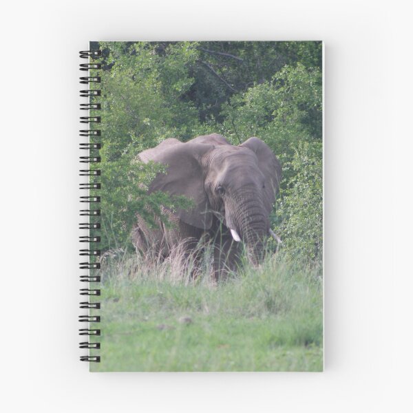 Aperçu de l'œuvre Émergence de l'éléphant créée et vendue par neta98.