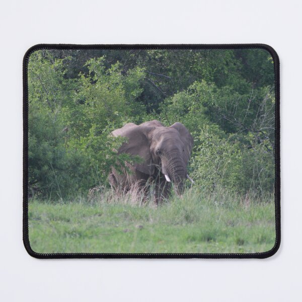 Item preview, Elephant Emerging designed and sold by neta98.