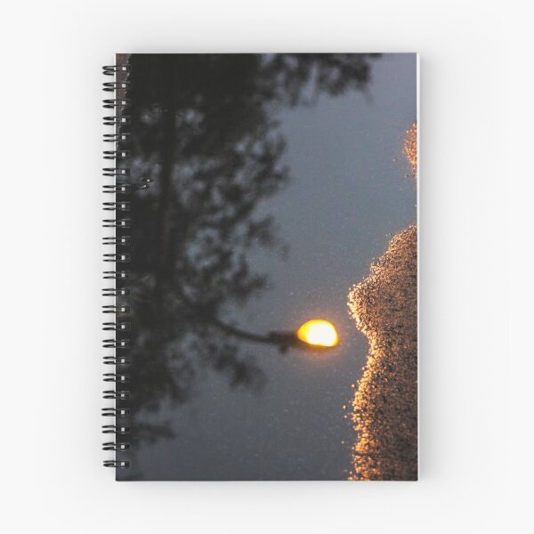 Item preview, Lamp Post in a Puddle Reflection designed and sold by neta98.