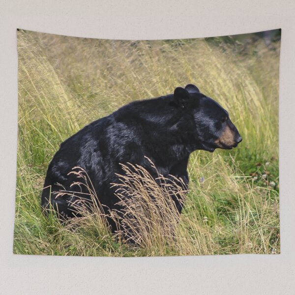 Item preview, Black Bear in the Grass designed and sold by neta98.