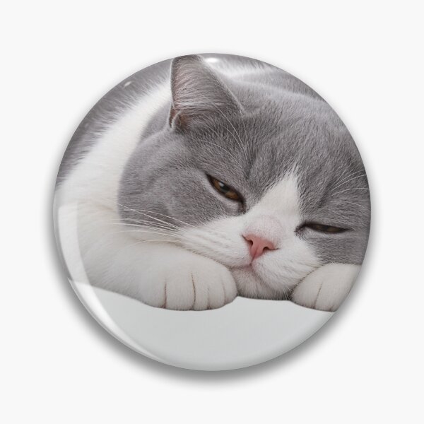 Item preview, Sleepy Gray and White Cat designed and sold by HoloHugDesigns.