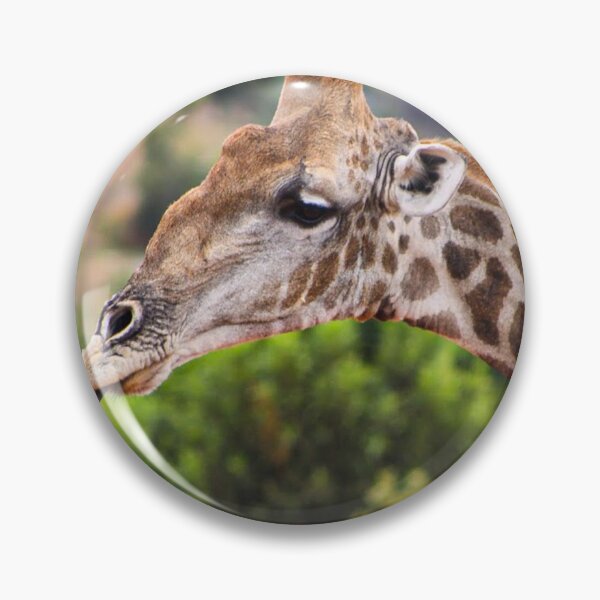 Item preview, Giraffe in Africa designed and sold by neta98.