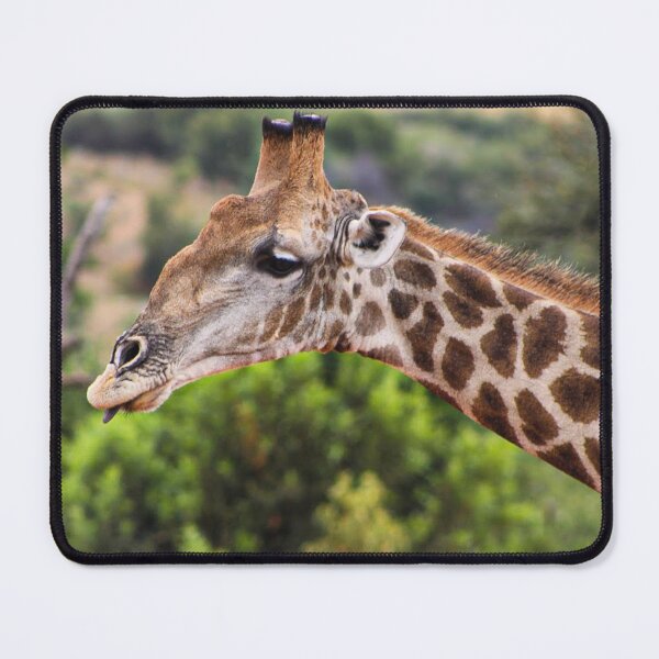 Item preview, Giraffe in Africa designed and sold by neta98.
