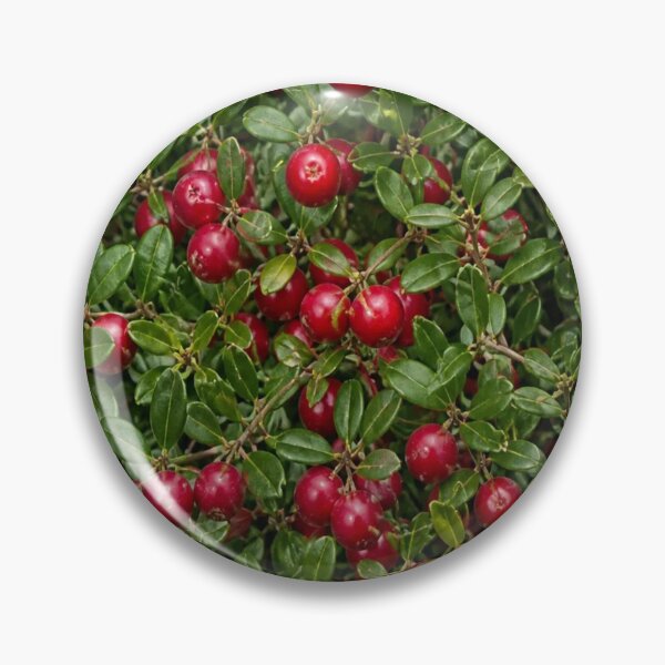 Item preview, Cranberries designed and sold by Artnovalty.redbubble.com.