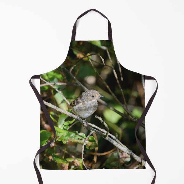 Item preview, The young one. European pied flycatcher designed and sold by Jouko Lehto Photography.