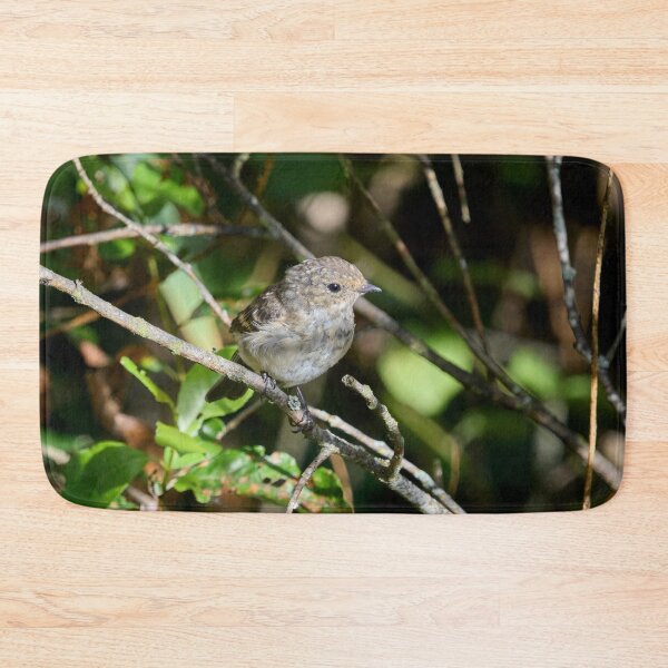 Item preview, The young one. European pied flycatcher designed and sold by Jouko Lehto Photography.