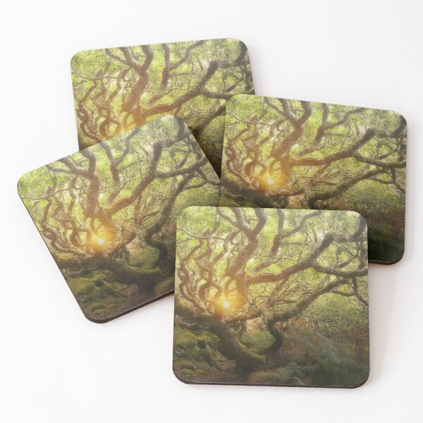 Item preview, Mystery Woods designed and sold by Alexandra Lavizzari.