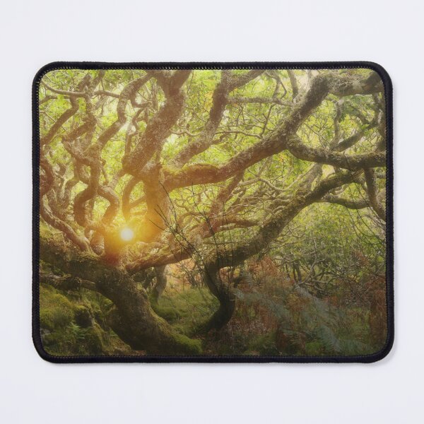 Item preview, Mystery Woods designed and sold by Alexandra Lavizzari.