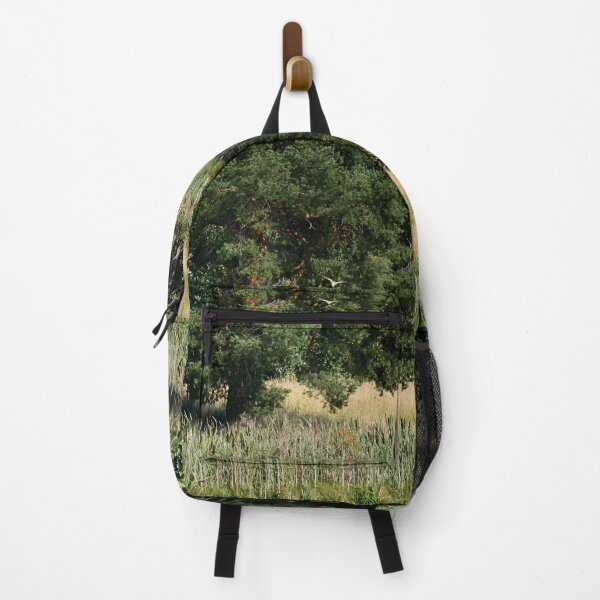 Item preview, A view with a pine and a Marsh Harrier designed and sold by Jouko Lehto Photography.