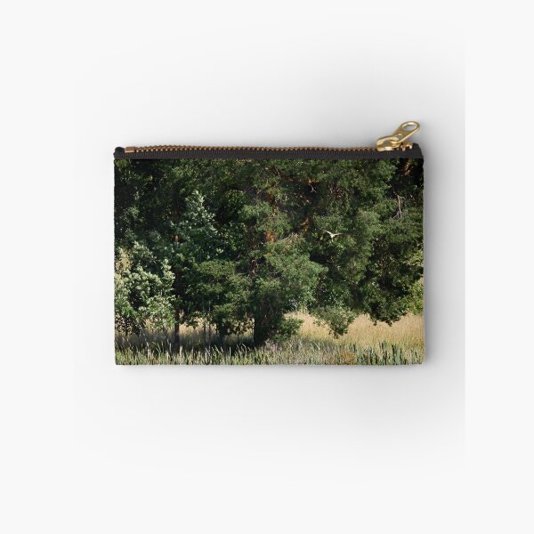 Item preview, A view with a pine and a Marsh Harrier designed and sold by Jouko Lehto Photography.