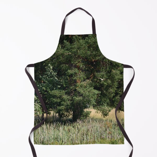 Item preview, A view with a pine and a Marsh Harrier designed and sold by Jouko Lehto Photography.