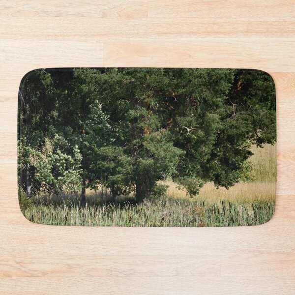 Item preview, A view with a pine and a Marsh Harrier designed and sold by Jouko Lehto Photography.