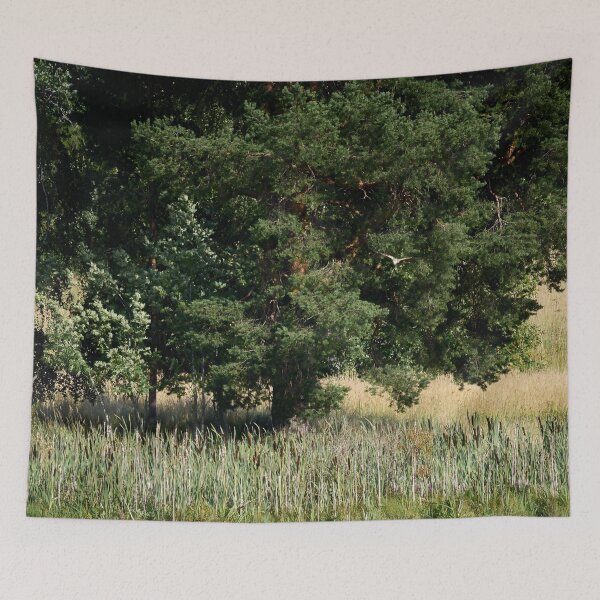 Item preview, A view with a pine and a Marsh Harrier designed and sold by Jouko Lehto Photography.