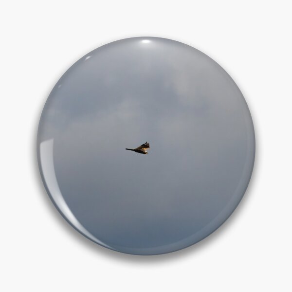 Item preview, Marsh Harrier and the clouds designed and sold by Jouko Lehto Photography.