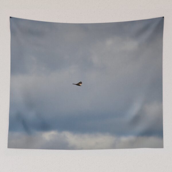 Item preview, Marsh Harrier and the clouds designed and sold by Jouko Lehto Photography.