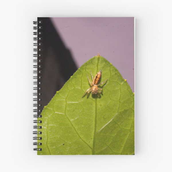 Item preview, Orange Jumping Spider designed and sold by ROSE ANN BANILAR.