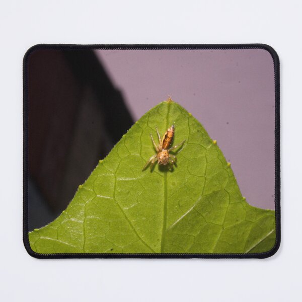 Item preview, Orange Jumping Spider designed and sold by ROSE ANN BANILAR.