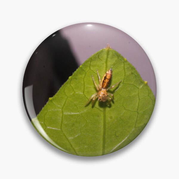 Item preview, Orange Jumping Spider designed and sold by ROSE ANN BANILAR.