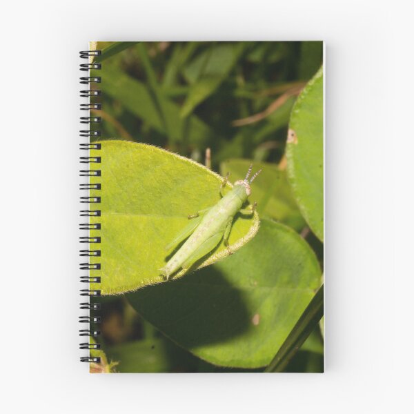 Item preview, Short-winged Green Grasshopper nymph designed and sold by ROSE ANN BANILAR.