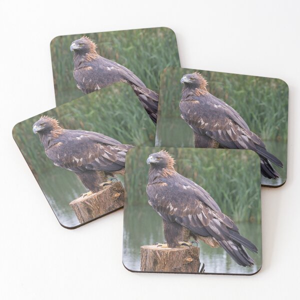 Item preview, portrait of a golden eagle designed and sold by alan tunnicliffe.