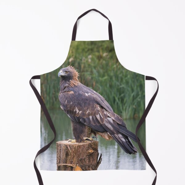 Item preview, portrait of a golden eagle designed and sold by alan tunnicliffe.