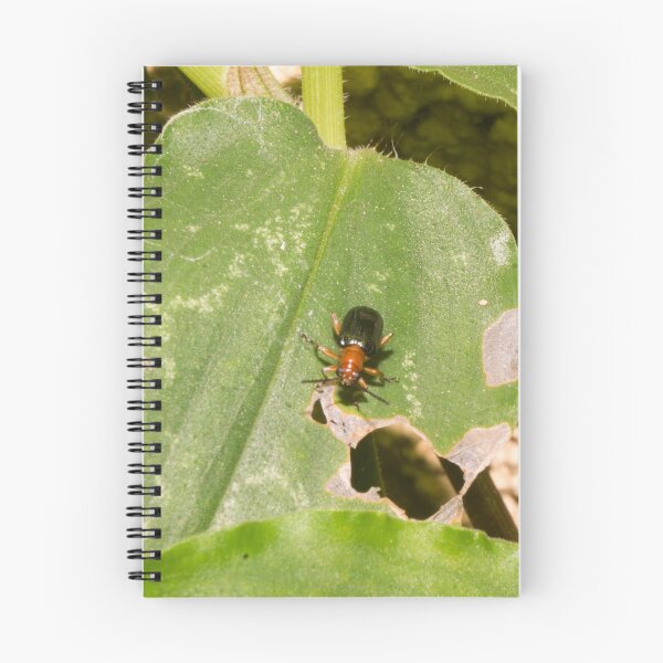 Item preview, Leaf Beetle_03 designed and sold by ROSE ANN BANILAR.